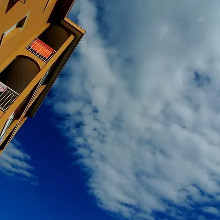 Orchidea ピエトラ・リーグレ