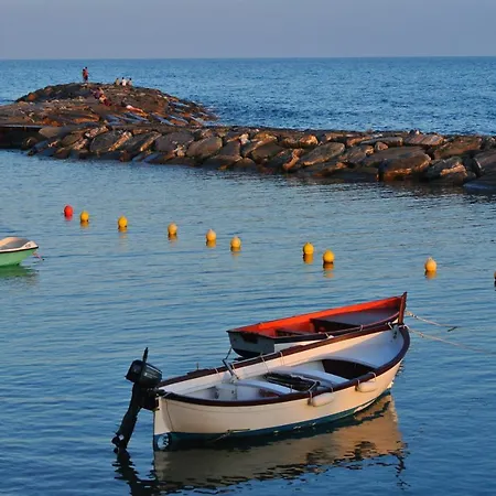 Orchidea Pietra Ligure