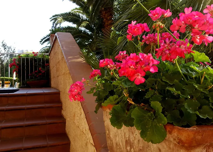 Orchidea Pietra Ligure