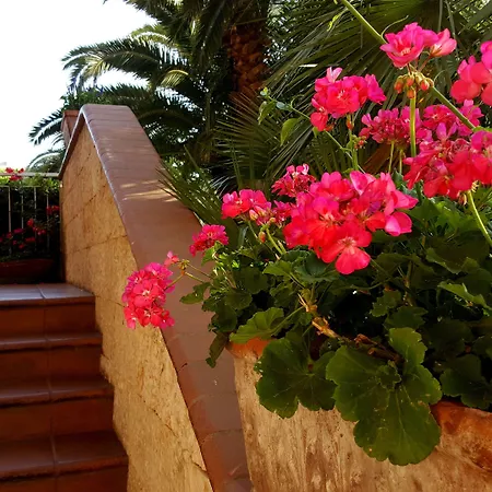 Orchidea Pietra Ligure